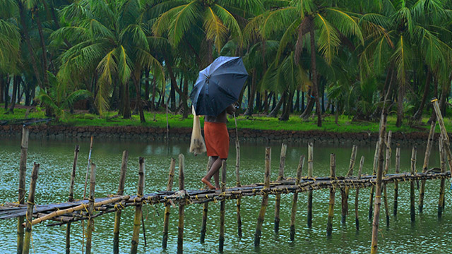 Monsoon in Kerala