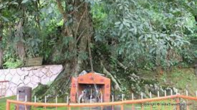 Wayanad Tourism