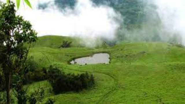 Wayanad tourism