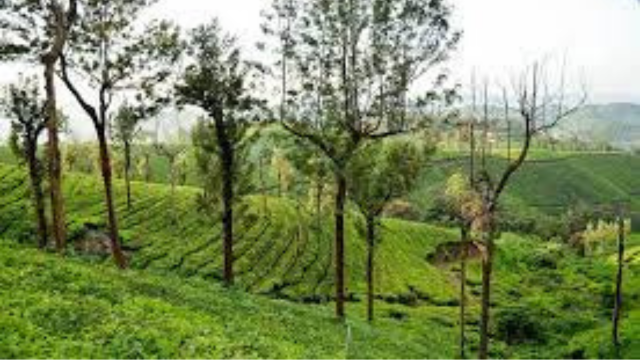 best tourist places in kottayam