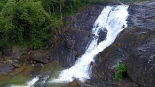 Wayanad tourism