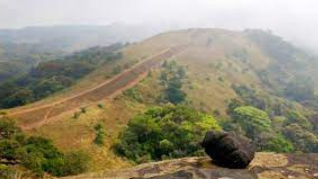 Wayanad tourism