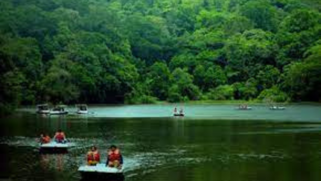 Wayanad tourism