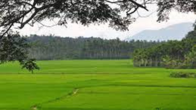 Wayanad tourism