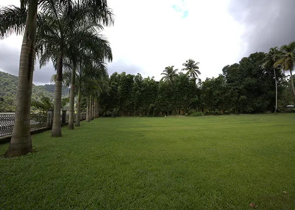 luxury honeymoon packages in athirappilly