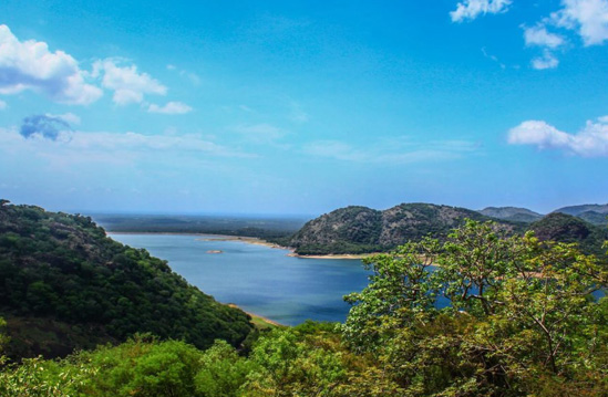 Hotels near athirapally waterfalls | luxury honeymoon packages in Athirapally